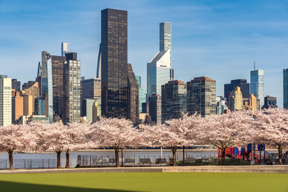 Roosevelt Island cable car is one of the best ways to see the cherry blossom in New York