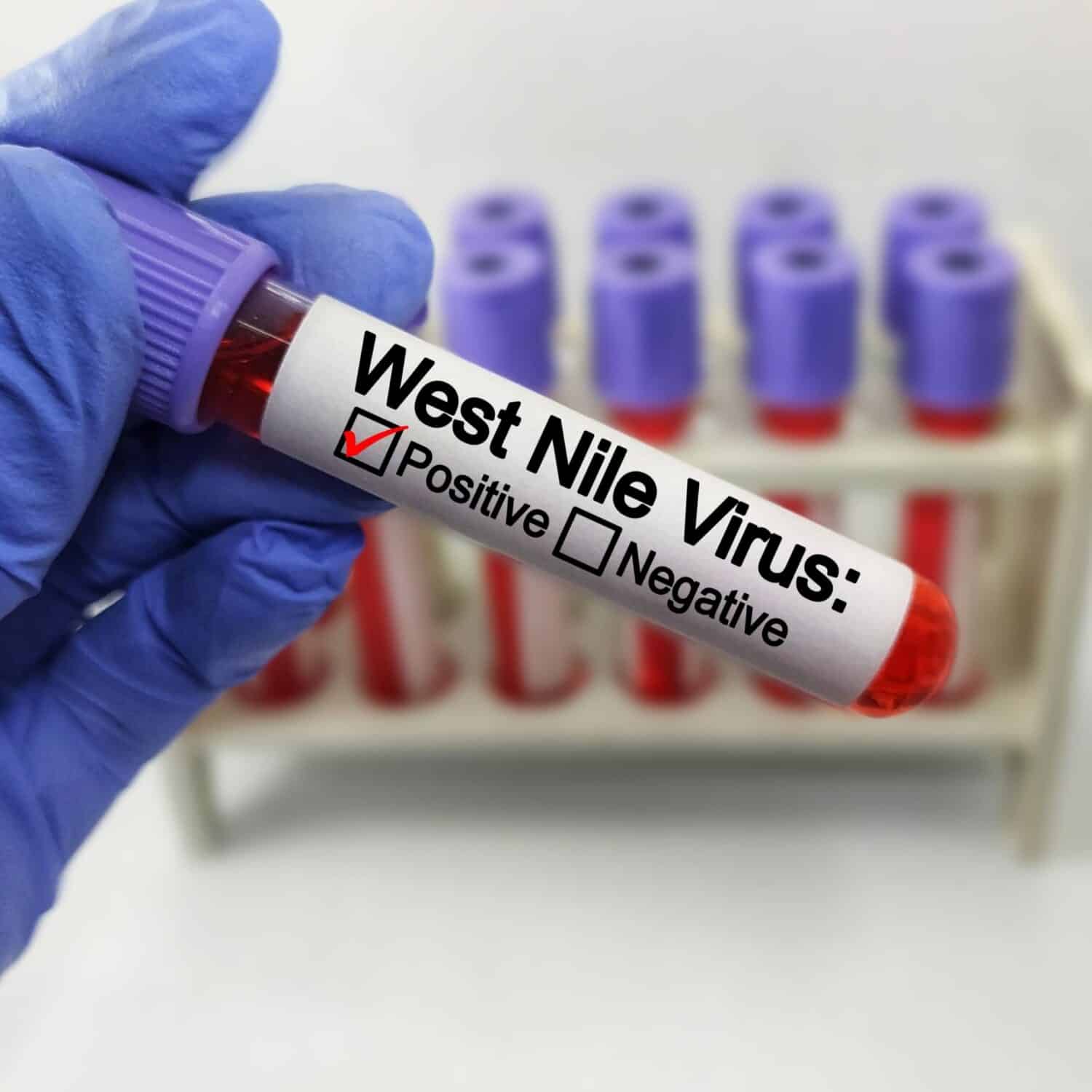 First case of West Nile of the year in New York