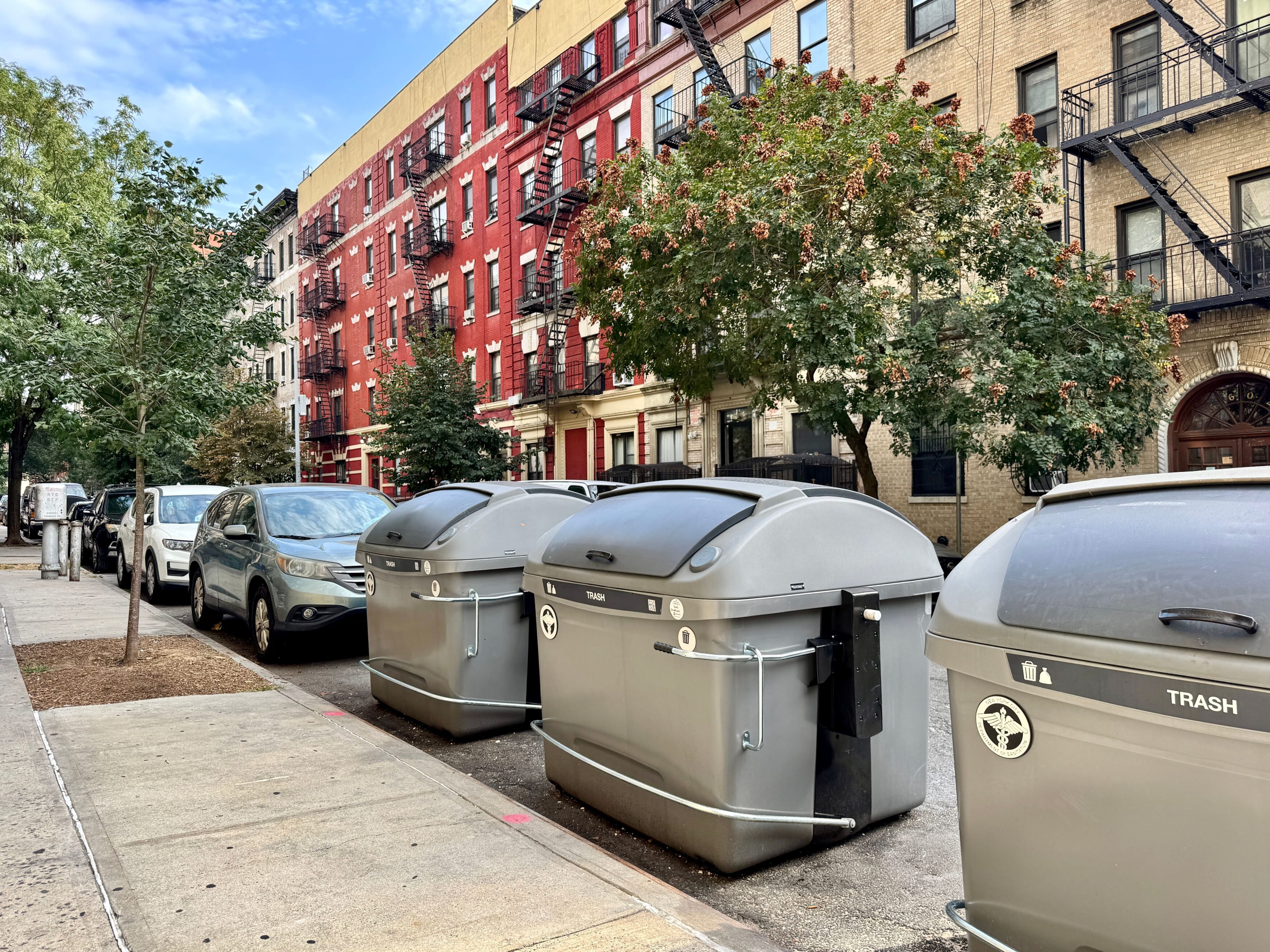 Dumpsters are dropping rats in New York